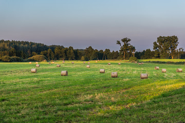 Straw bales on a field in Kujawy-Pomerania Province of Poland