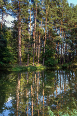 Great Canal of Brda River in Pomorskie Region, Poland