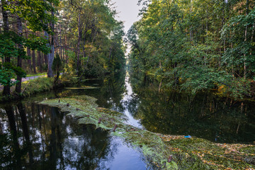 Great Canal of Brda River in Pomorskie Region, Poland - obrazy, fototapety, plakaty