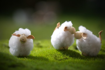 drei Schafe auf einer Wiese