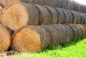 Round bales stacked soybean