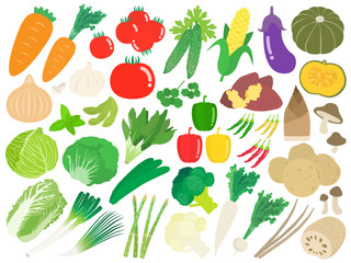 野菜のイラストセット