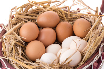 Chicken eggs in the straw on white background