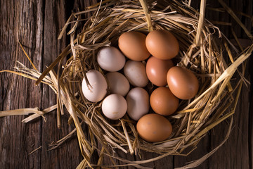 Chicken eggs in the straw in the morning light