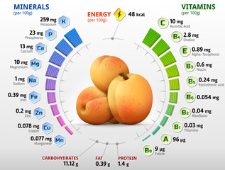 Vitamins and minerals of apricot fruit. Infographics about nutrients in raw apricot. Qualitative vector illustration for fruits, vitamins, agriculture, health food, nutrients, diet, etc