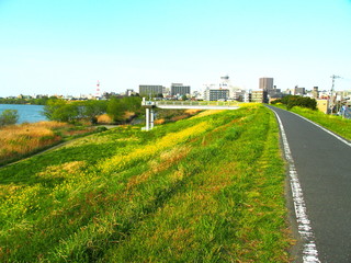 江戸川の河川敷とサイクリング道路風景