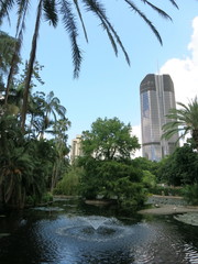 Fototapeta na wymiar Brisbane Botanischer Garten 11