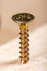 Metal screw screwed into a wooden board