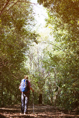 Fototapeta na wymiar Men travel with backpack walking in forest.