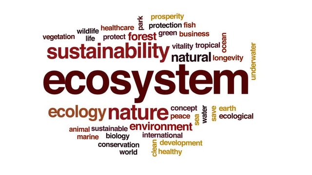 Ecosystem animated word cloud, text design animation.