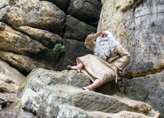 bearded hermit in the rocks gaze into the distance