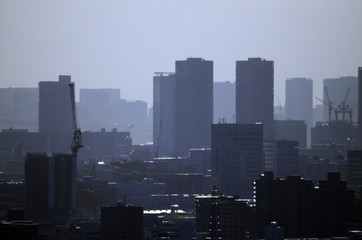 Naklejka premium 東京の街並み