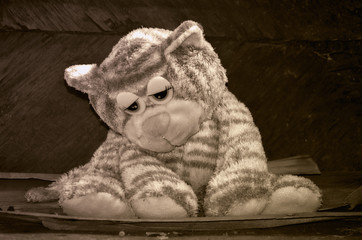 Sad kitten at sepia