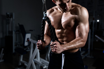 Fototapeta na wymiar Muscular young man training triceps in the gym