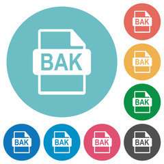 BAK file format flat round icons