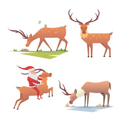 Christmas reindeer holiday mammal deer xmas celebration cute decoration winter art new year wildlife animal and santa man character vector illustration.