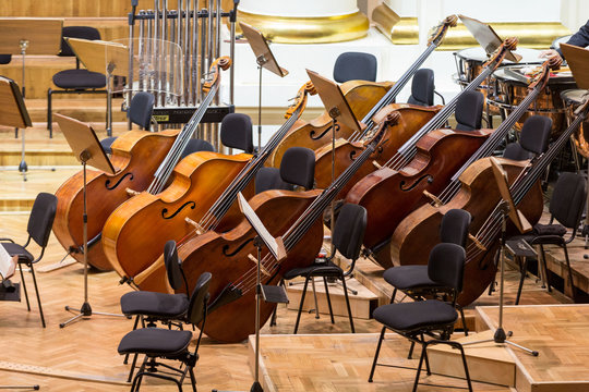 Vintage, music instruments,  old bass viols on stage