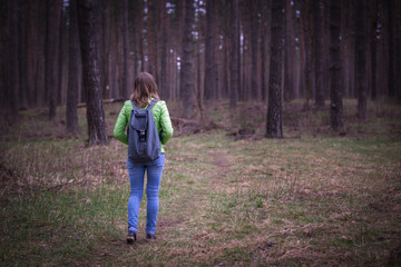 tourist walking in the wood, forest