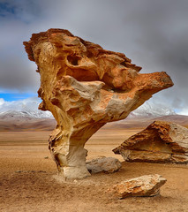 Arbol de Piedra, Siloli desert (bolivia) - HDR image