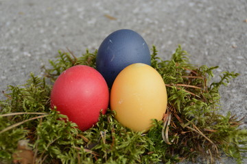 Easter Eggs in a nest made out of moss