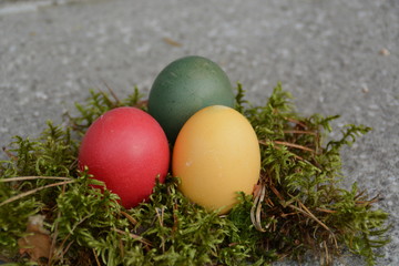 Fototapeta na wymiar Easter Eggs in a nest made out of moss