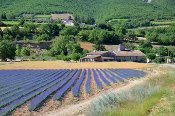 High Provence Luberon Landscape - obrazy, fototapety, plakaty