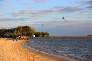 Rodzina z dziećmi nad brzegiem jeziora, ptaki.  © Stanisław Błachowicz