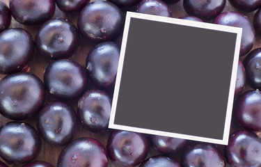 Corozo tropical fruit - Bactris guineensis