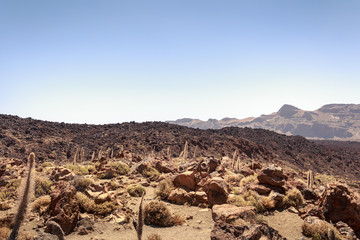 Fototapeta na wymiar Paisaje desértico del volcán del Teide en Tenerife