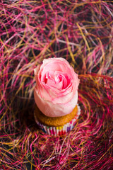 Vanilla muffin with rose flower on the dark wooden background. Shallow depth of field.