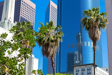 Foto op Plexiglas Multi-storey buildings and palm trees in Los Angeles © _nastassia