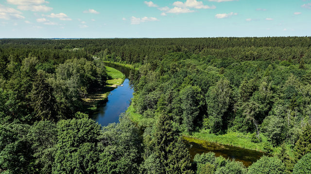 Panorama of river and forest.