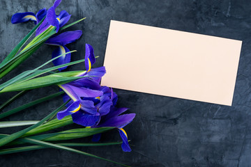 Bouquet of violet Irises on dark background with letter,  copy space. Top view