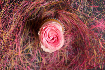 Vanilla muffin with rose flower on the dark wooden background. Shallow depth of field.
