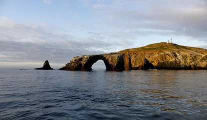 Papier peint photo Île Anacapa island, part of the Channel Islands national Park.  © buttbongo
