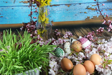 Painted Easter egg and grass with cherry branch/  Easter eggs and cherry branch with blue...