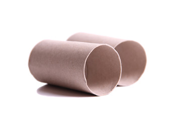 Paper tube of toilet paper