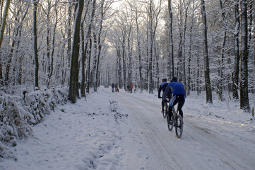 Cycling in a snowy forest