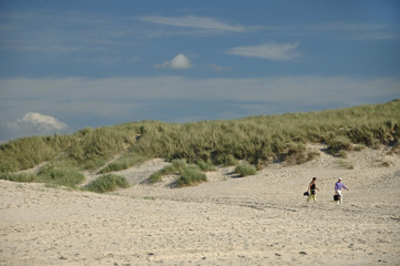 Fototapeta na wymiar A beautiful day at the Dutch beaches