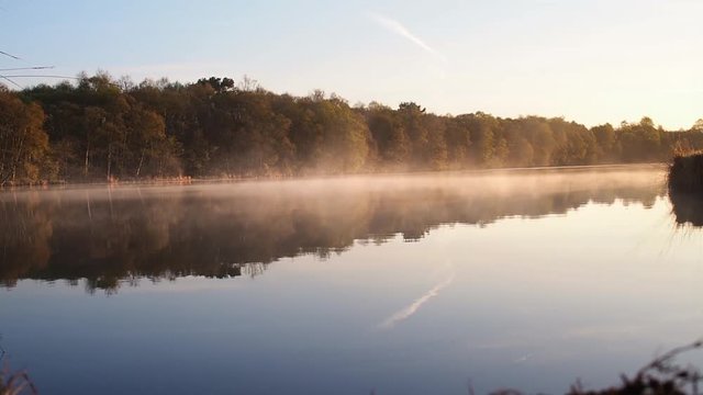 Nebel &uuml;ber dem Wolfsmeer in K&ouml;nigsmoor. Das ist ein Moorgebiet im Landkreis Leer Ostfriesland in Niedersachsen.