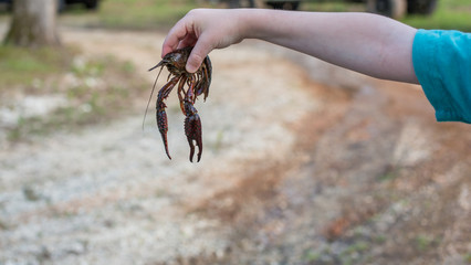 young person holding live crawfish with arm outstreched outdoors selective focus blurred background