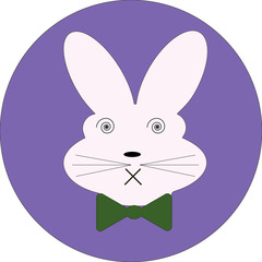 Fototapeta premium cute rabbit faces