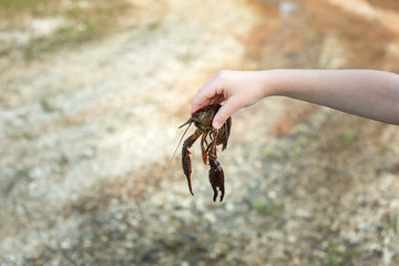young person holding live crawfish with arm outstreched outdoors selective focus blurred background