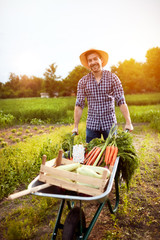 Farmer with wheelbarrow full of vegetables