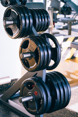 Set of metal barbells disks on barbbell holder in the fitness gym