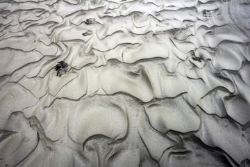Fototapeta na wymiar Wolf Print on Alaska River Bed