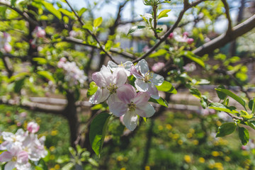 Spring is here