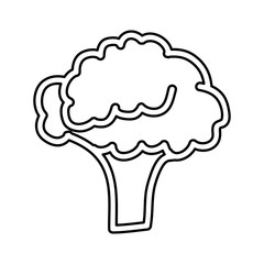 broccoli fresh vegetable icon vector illustration design