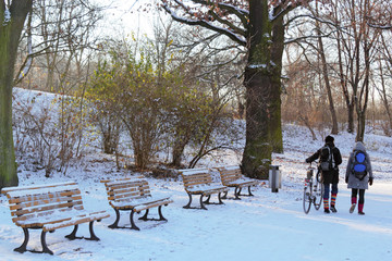 Volkspark Friedrichshain, Winter
