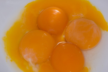 Eigelb 